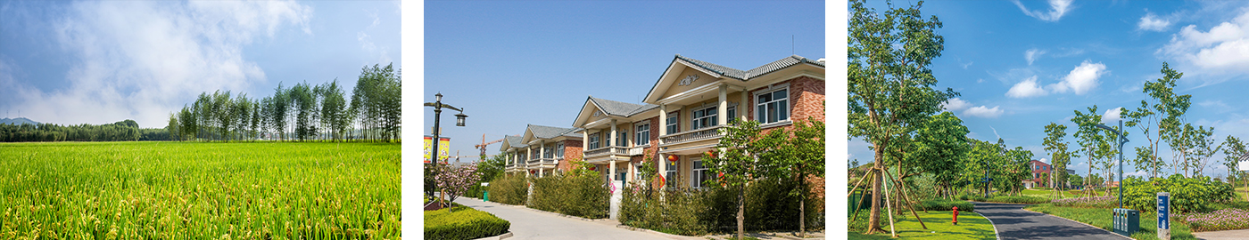 环境气象监测-适用场景.jpg